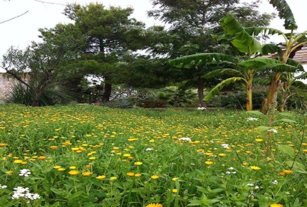 Bio-Agriturismo Masseria La Palombara Salve Kültér fotó